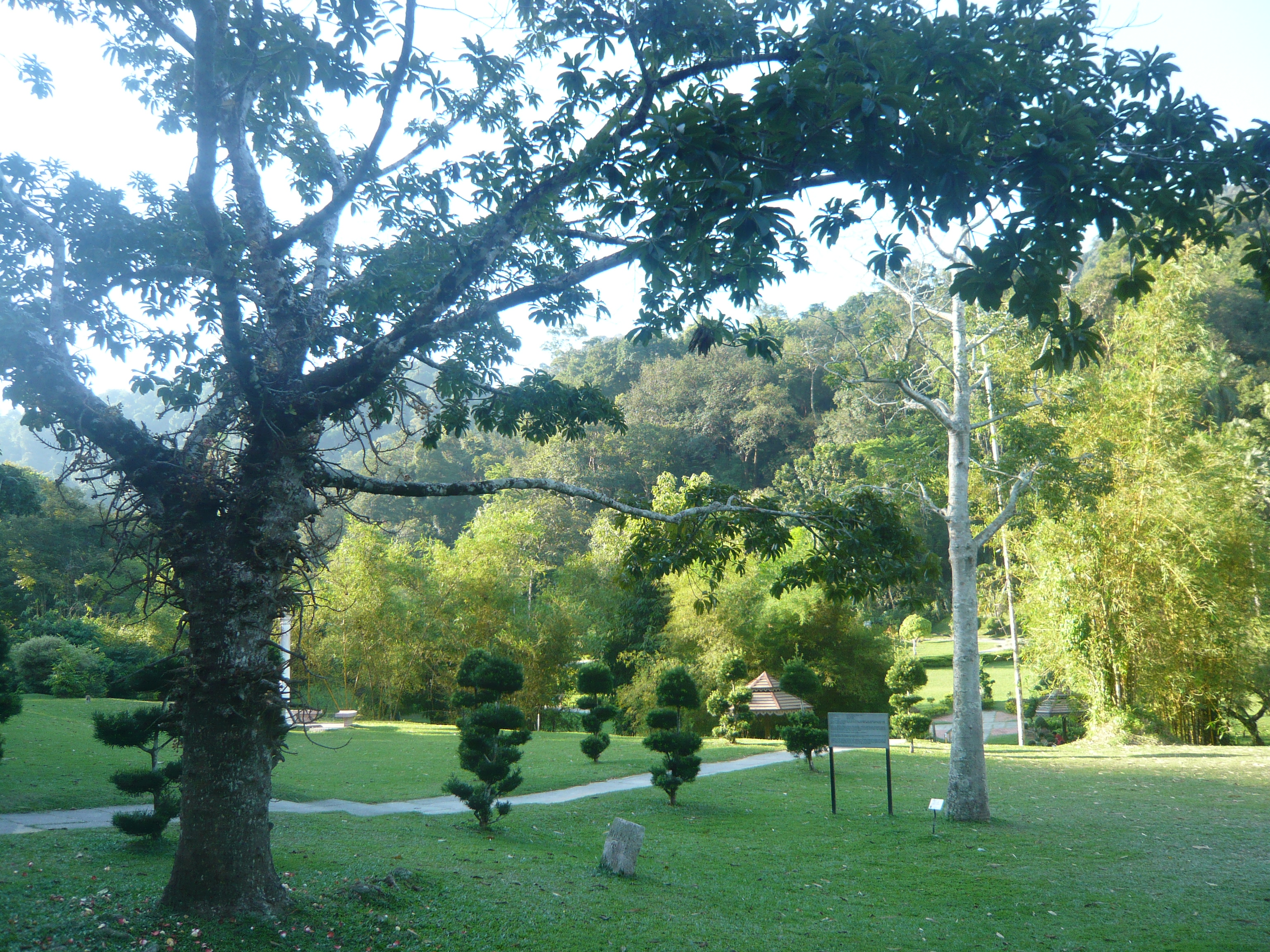 penang-botanical-garden-zighunt