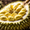 Musang King Journey from Exotic Fruit to Global Delicacy